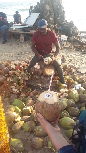 Un professionnel de la noix de coco